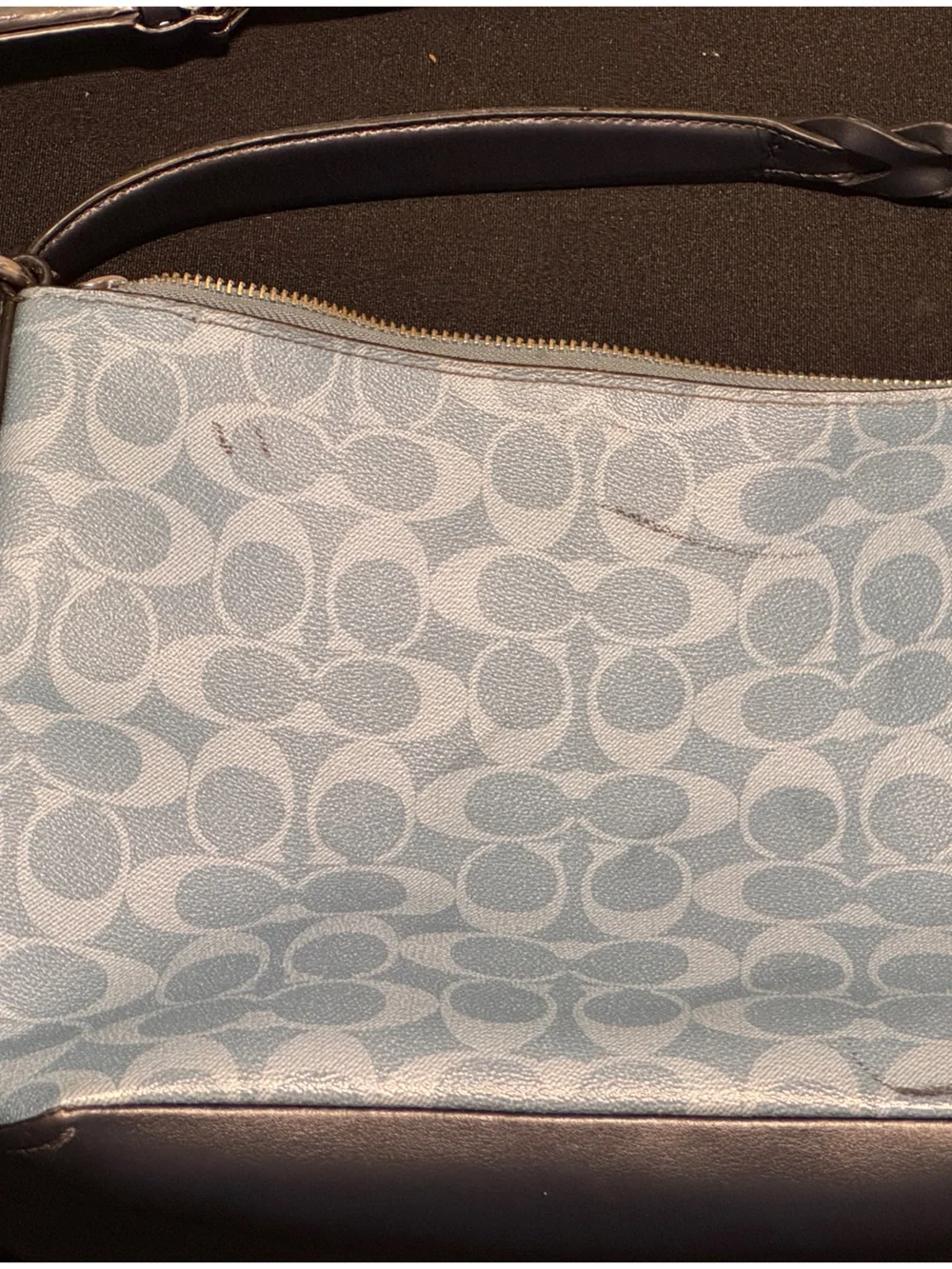Coach Light Blue Signature Canvas Crossbody
